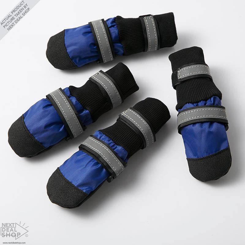 Botas para mascotas: ¡protege a tu mejor amigo, sin importar la temporada!