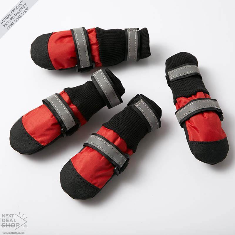 Botas para mascotas: ¡protege a tu mejor amigo, sin importar la temporada!