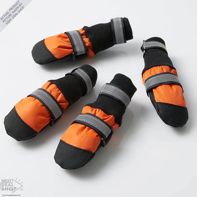 Botas para mascotas: ¡protege a tu mejor amigo, sin importar la temporada!