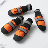 Botas para mascotas: ¡protege a tu mejor amigo, sin importar la temporada!